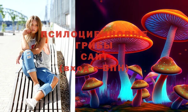 ECSTASY Абинск