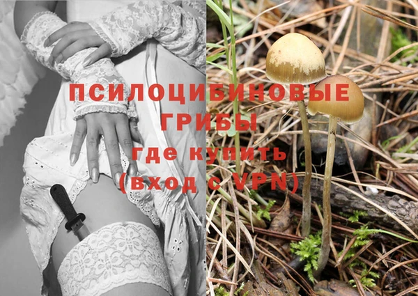 ECSTASY Абинск