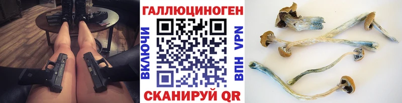 Псилоцибиновые грибы Psilocybine cubensis  KRAKEN ссылка  Тутаев 
