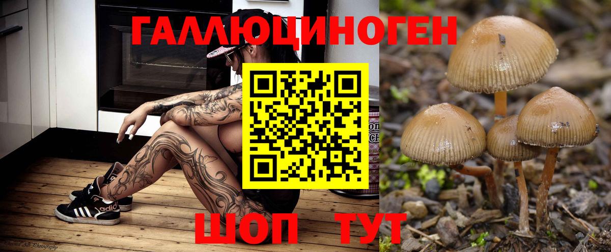 Галлюциногенные грибы Cubensis  Вход с VPN  наркота  Тутаев 